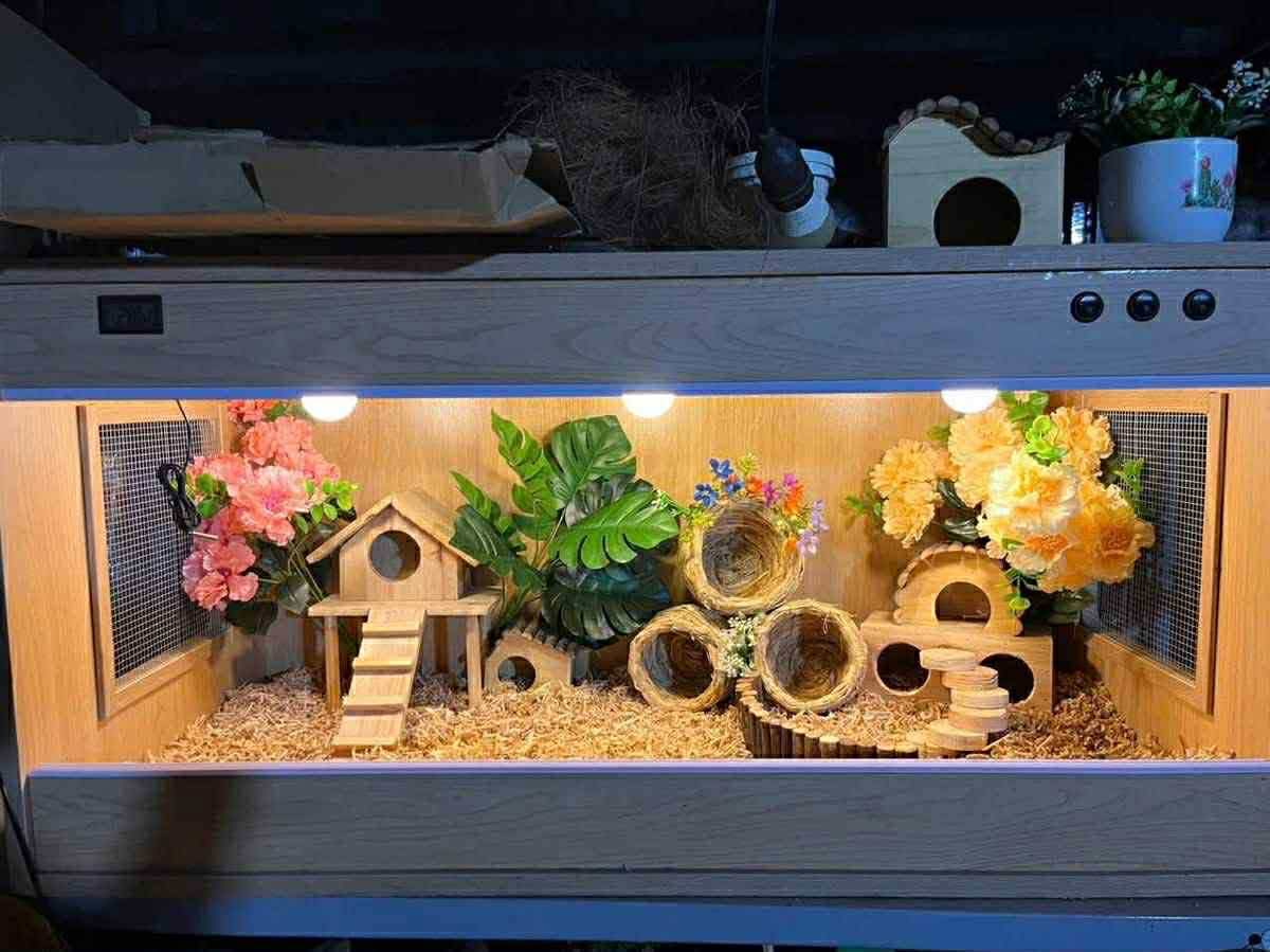 Hướng Dẫn Làm Chuồng Nuôi Gà Rutin Đơn Giản Tại Nhà